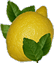 Citrona